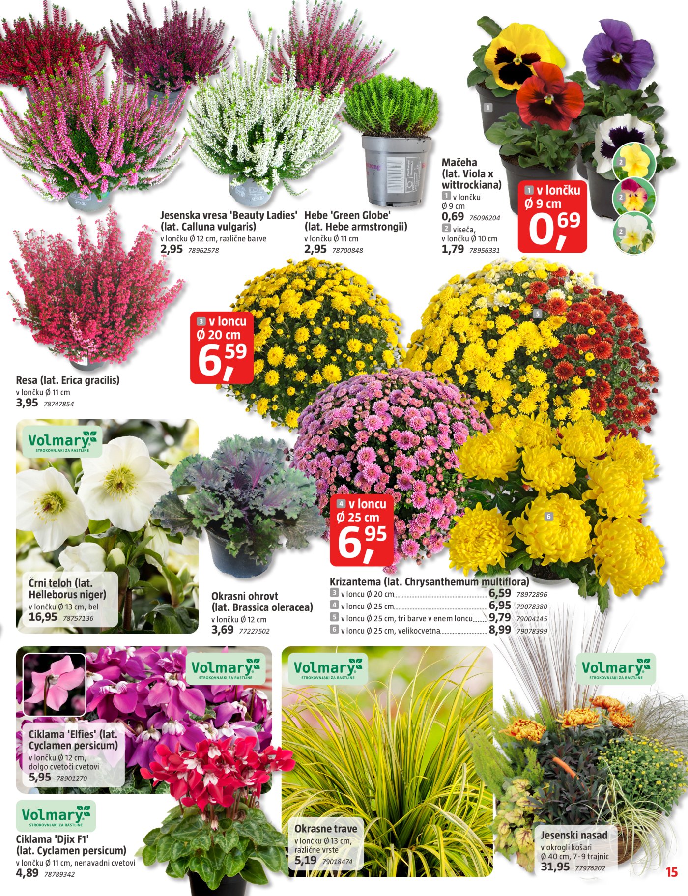 Bauhaus Oktober katalog 14.10.-03.11.2026.
