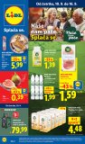 Lidl katalog Akcija 10.09.-16.09.2026.