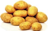 SLOVENSKI KROMPIR pakirano, 5 kg