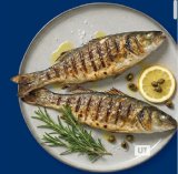 NAŠA RIBARNICA svež brancin iz kornatov 720 g