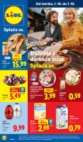 Lidl katalogi 